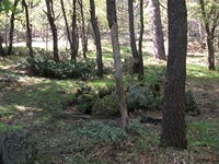 otta delle Femmine27052012 092